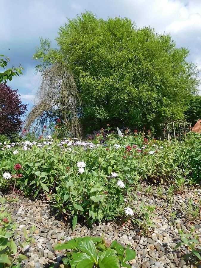 Bed & Breakfast Foxholm Bed And Breakfast Scarborough