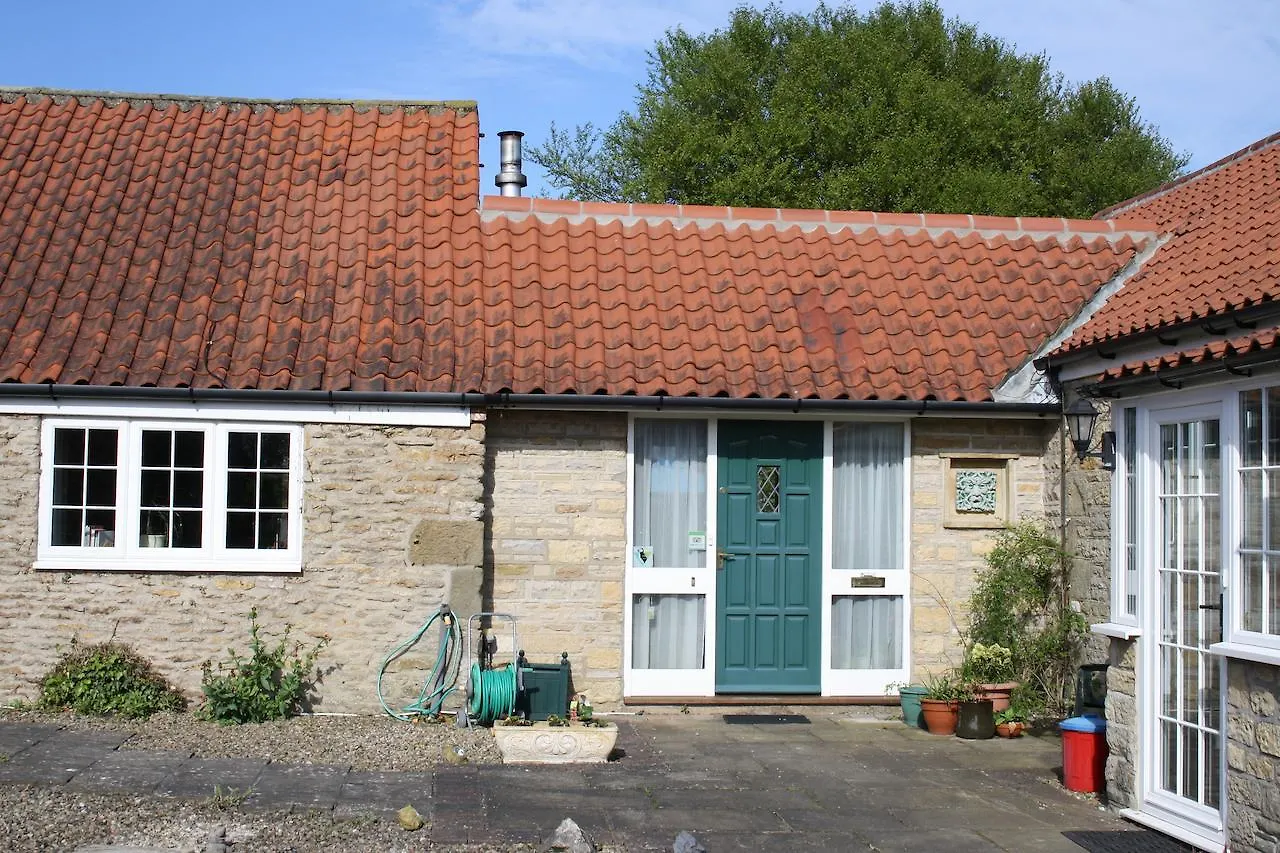 Foxholm Bed And Breakfast 스카버러 4*,